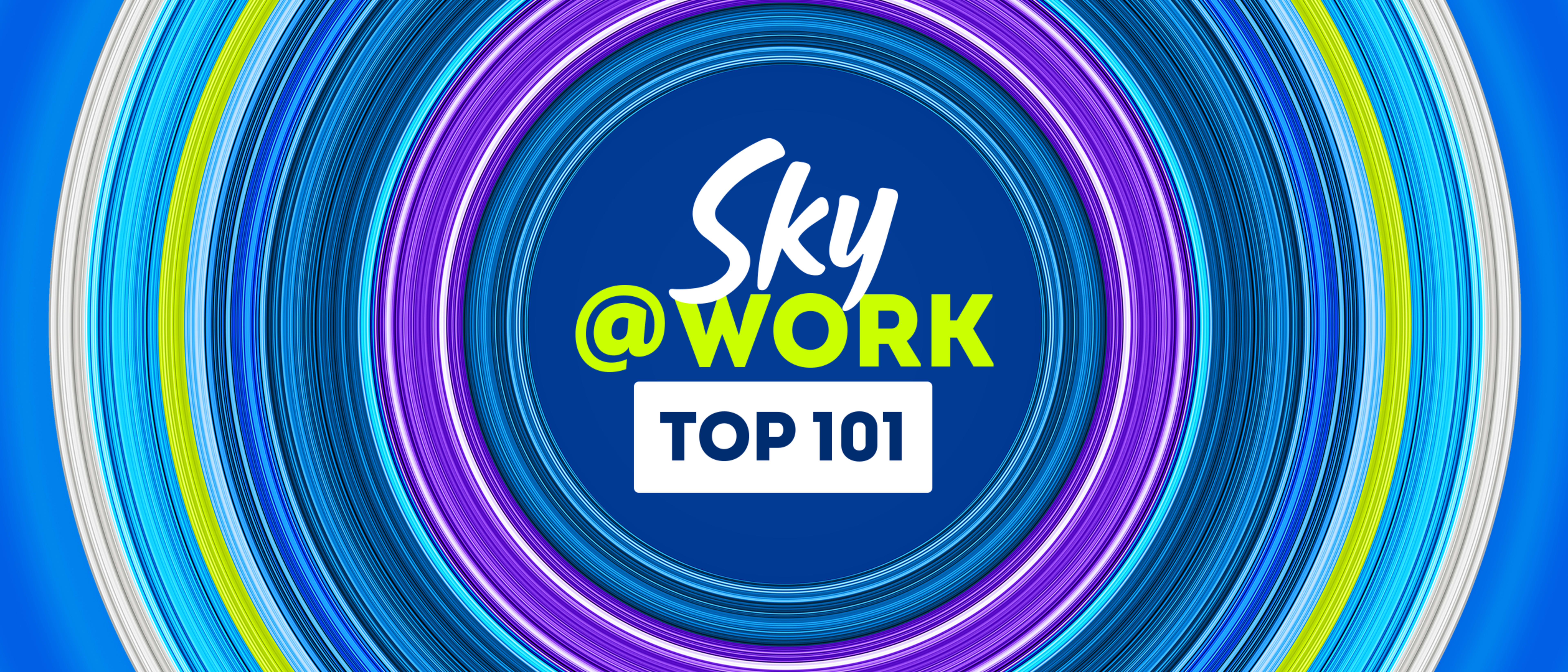 Sky @ Work Top 101