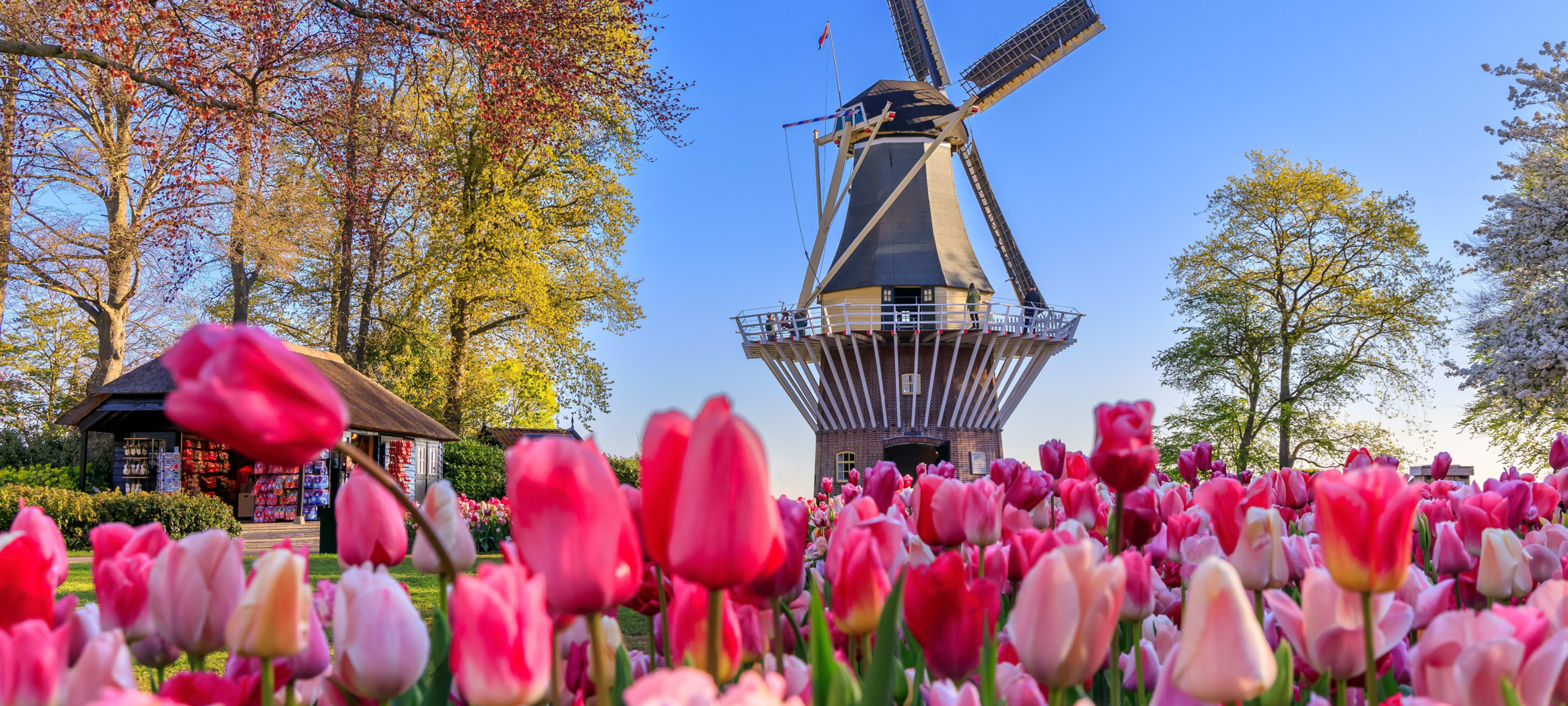 Nederland