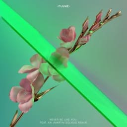 Flume, kai - Never Be Like You - Martin Solveig Remix