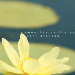 Toni Braxton Smooth Jazz Tribute - Unbreak My Heart