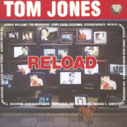 Tom Jones, Mousse T. - Sexbomb
