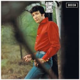 Tom Jones - It's Not Unusual