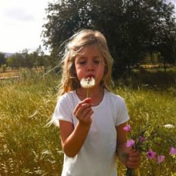 Roxy Dekker - Jouw Idee