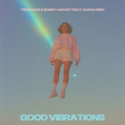 Tensnake, Bobby Harvey, Sarah Bird - Good Vibrations