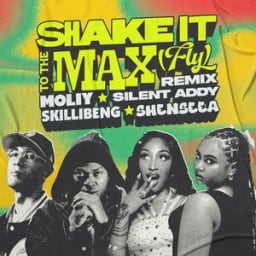 MOLIY, Silent Addy, Skillibeng, Shenseea - Shake It To The Max (FLY) - Remix