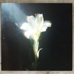 Netsky, Bebe Rexha - Light That Leads Me (with Bebe Rexha)