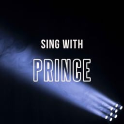 Sing With Prince - Money Don't Matter 2 Night