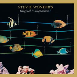 Stevie Wonder - You Are The Sunshine Of My Life - Single Version With Horns