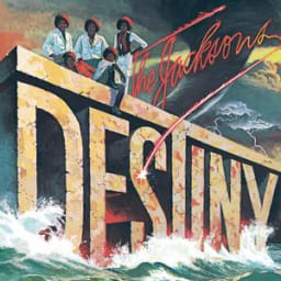 The Jacksons - Blame It on the Boogie