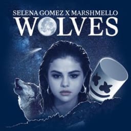 Selena Gomez, Marshmello - Wolves