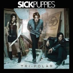 SICK PUPPIES - Maybe