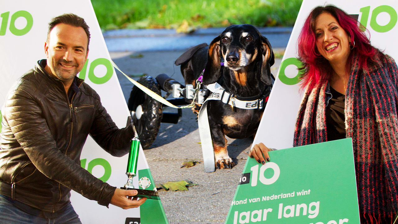 Het is bekend: dít is de Leukste Hond van Nederland!