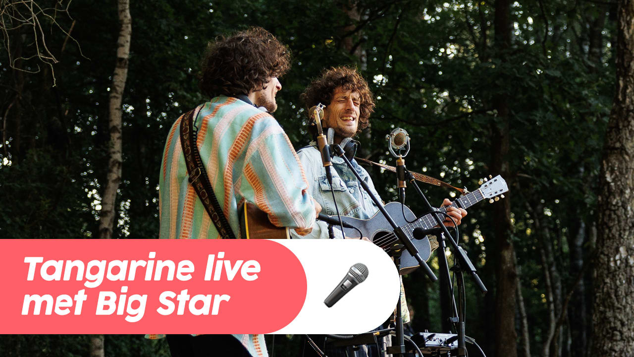 Tangaringe - Big Star live @ Ekdom in de Morgen