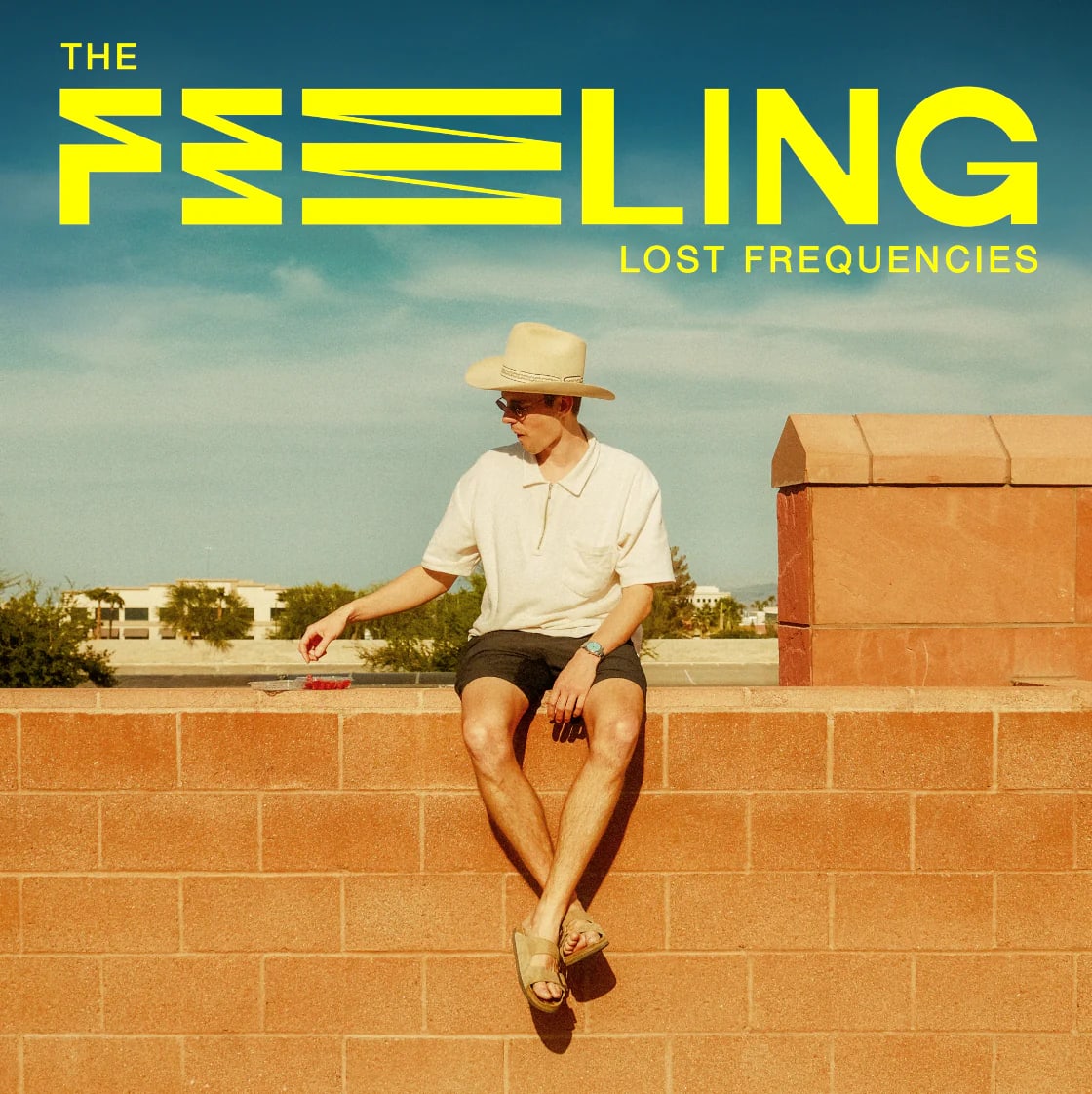 Gemaakt: Lost Frequencies - The Feeling 