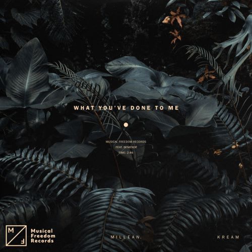 De nieuwe Dance Smash is voor Kream & Millean ft. Bemendé met What You've Done To Me