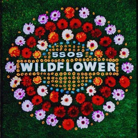 GEMAAKT: 5 Seconds of Summer - Wildflower
