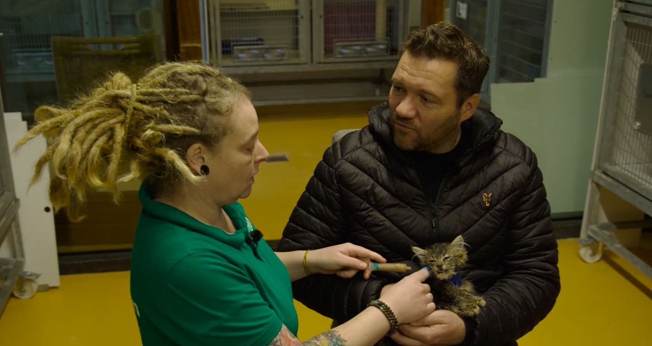 Missie geslaagd: een kraamafdeling om gedumpte kittens te laten overleven