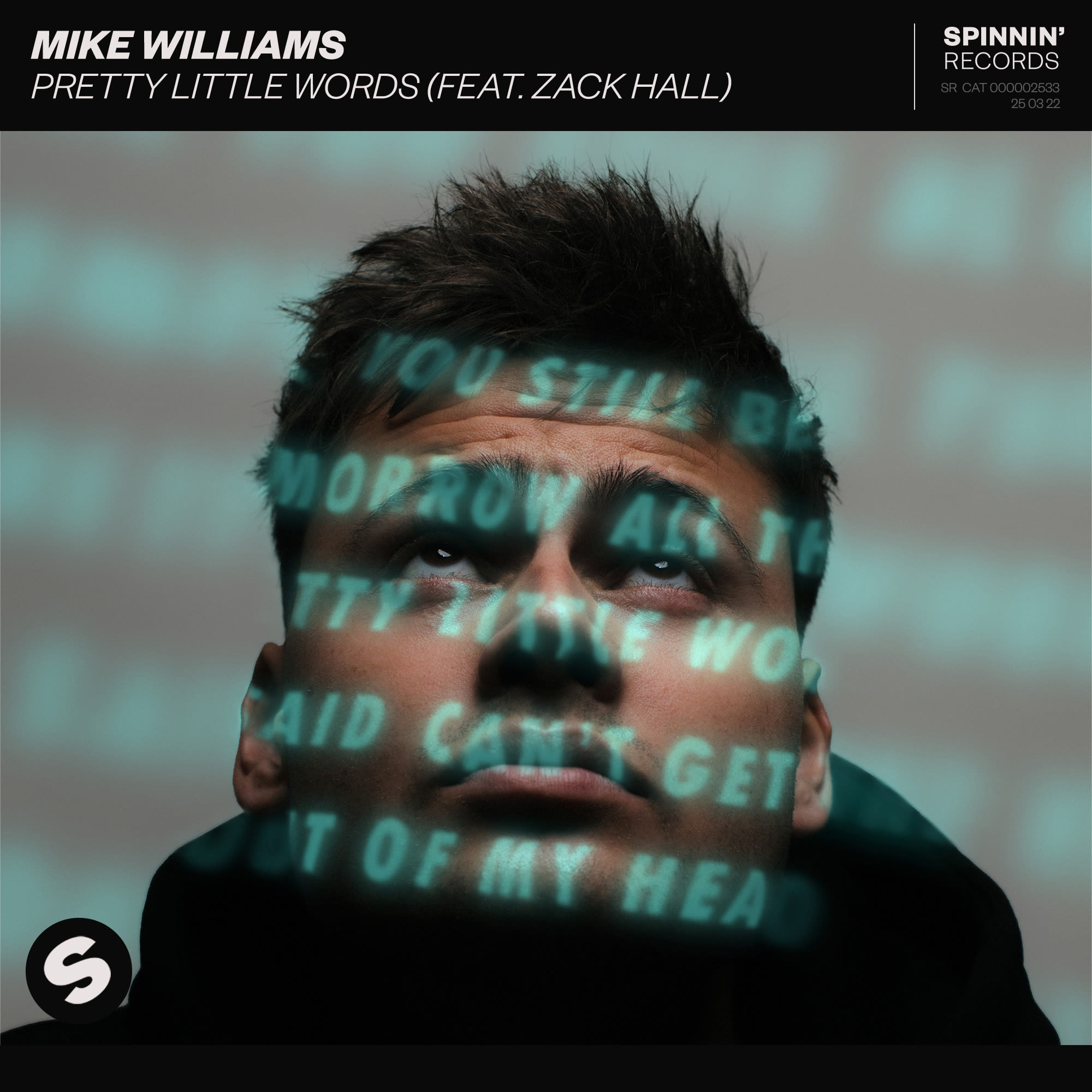 GEMAAKT: MIKE WILLIAMS FEAT. ZACK HALL - PRETTY LITTLE WORDS