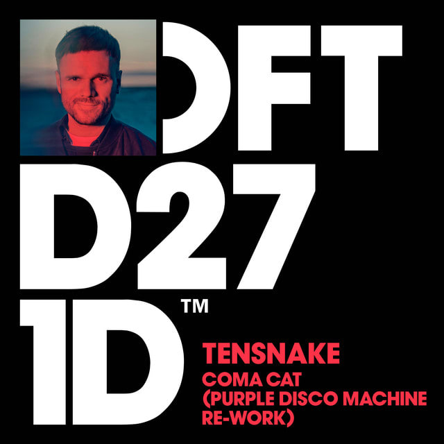GEKRAAKT:  Tensnake – Coma Cat (Purple Disco Machine rework) 