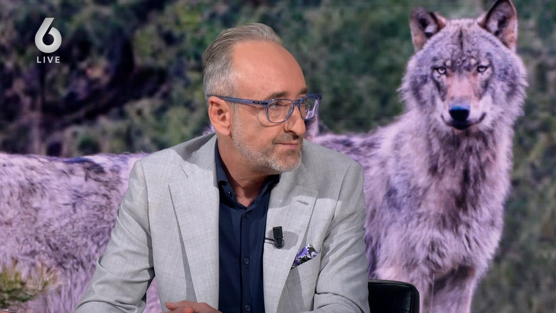 Jongetje (6) gebeten door wolf: 'Nu is het genoeg'