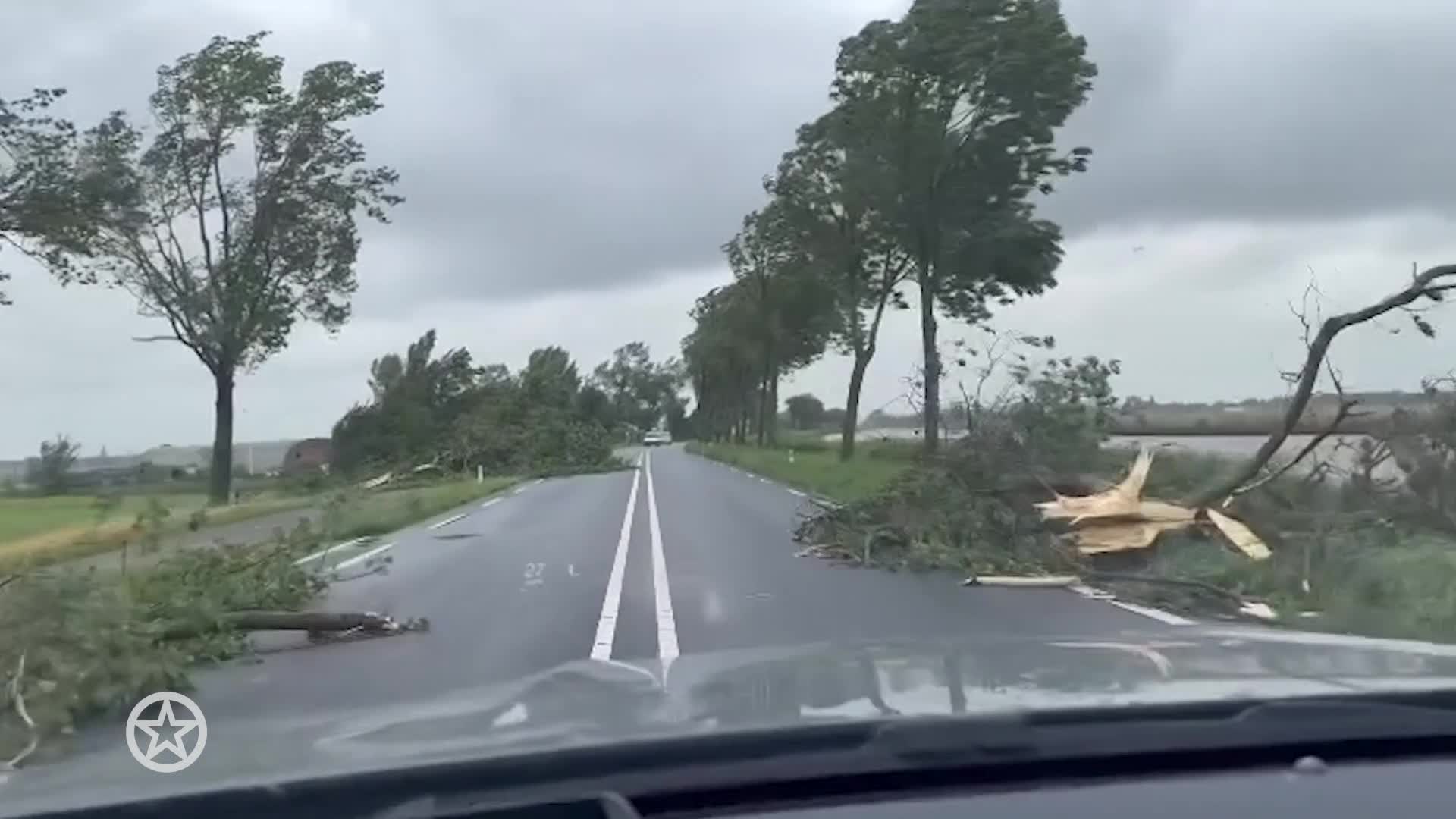 Wolter Kroes laat stormschade op de weg zien