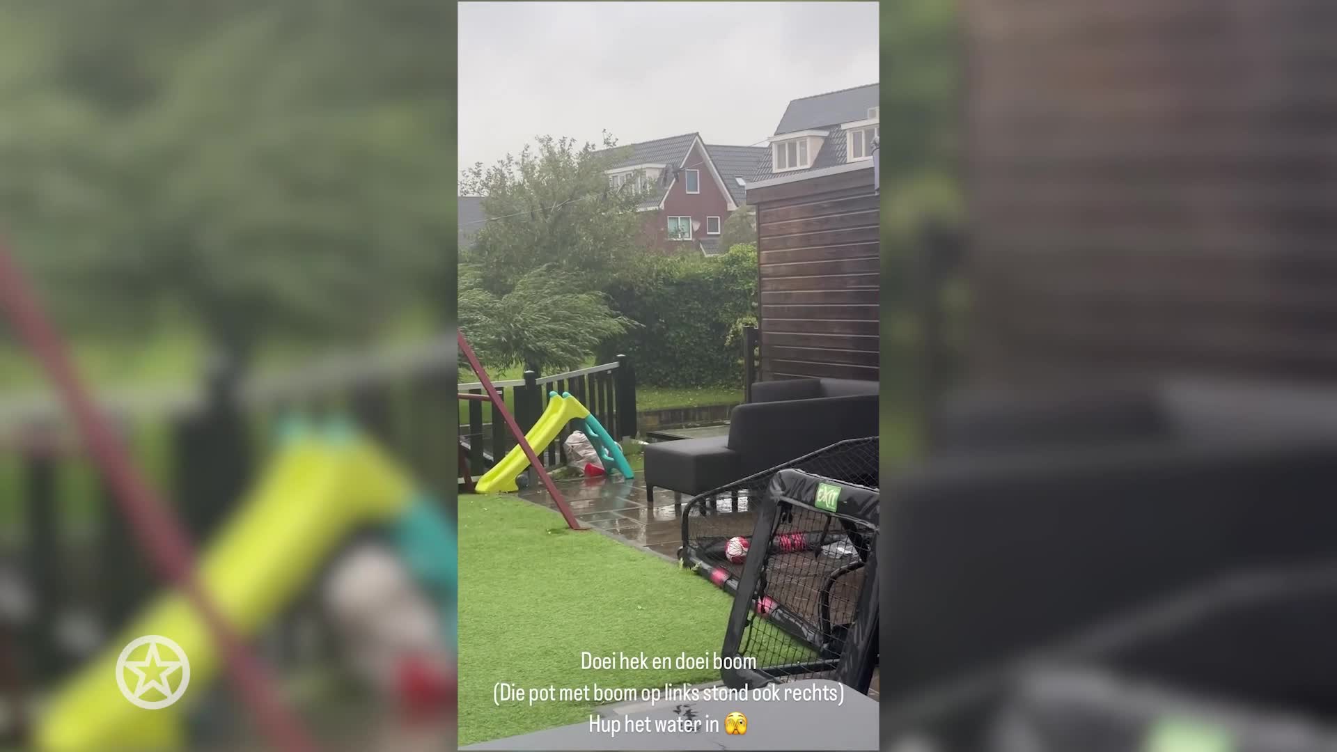 Tuin Monique Smit heeft stomschade