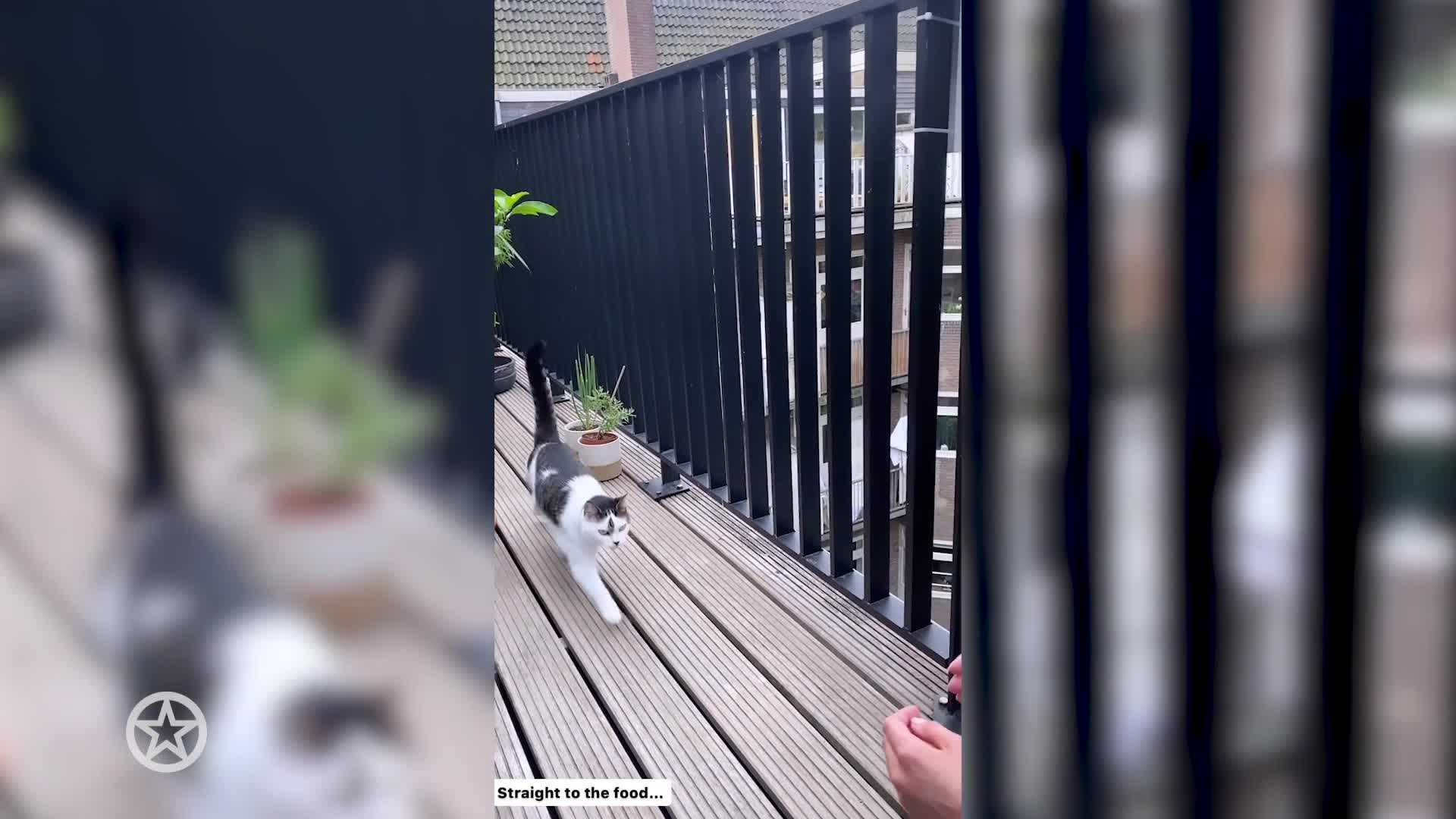 Marieke gaat een weekend weg zonder haar kat Kiki