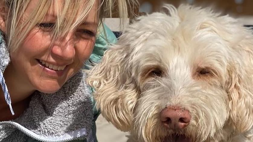 Slecht nieuws voor labradoodle Tommy uit Boer zoekt Vrouw