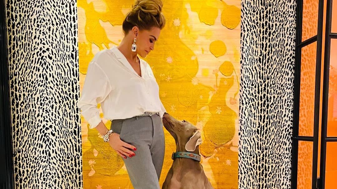 Zo gaat het nu met Connie's hond Rocco