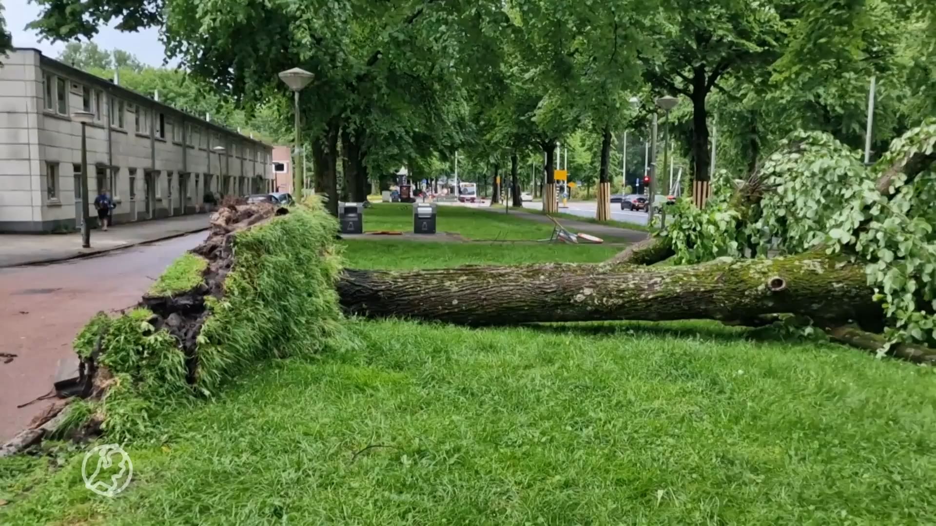 In meerdere plaatsen schade door noodweer