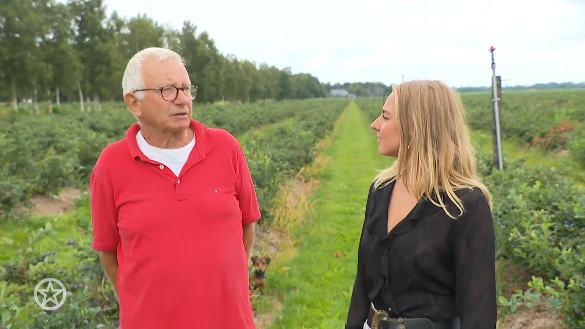 Hoe is het nu met boer Geert uit Boer zoekt vrouw?