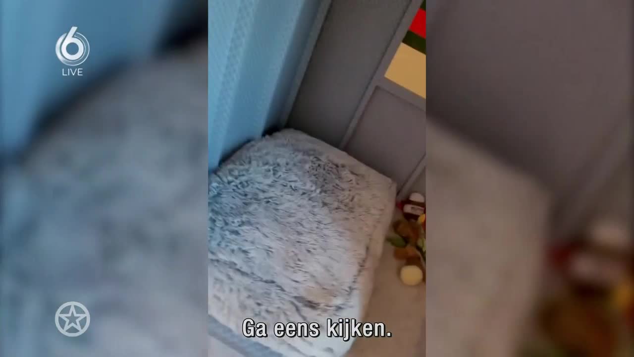 Gordon koopt huis voor zijn honden