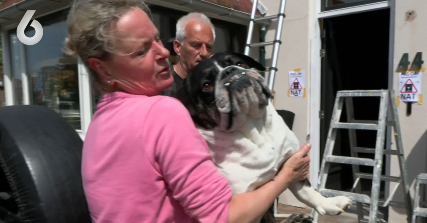 Grote verbazing over plannen Meilandjes met dode hond