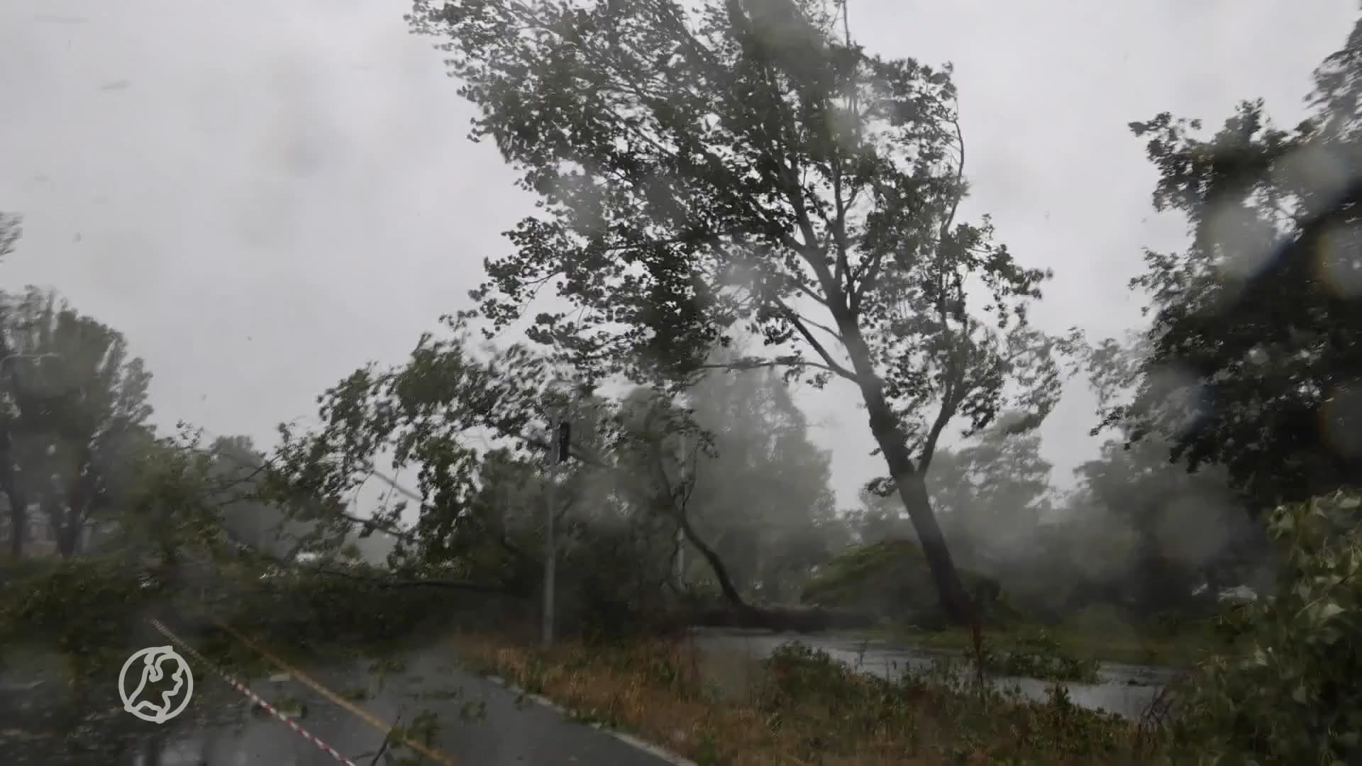 Storm Poly in beeld: groot deel Nederland getroffen door zwaarste zomerstorm ooit