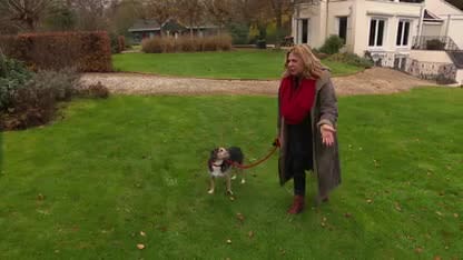 Wat doen BN’ers met hun dieren op oud & nieuw?