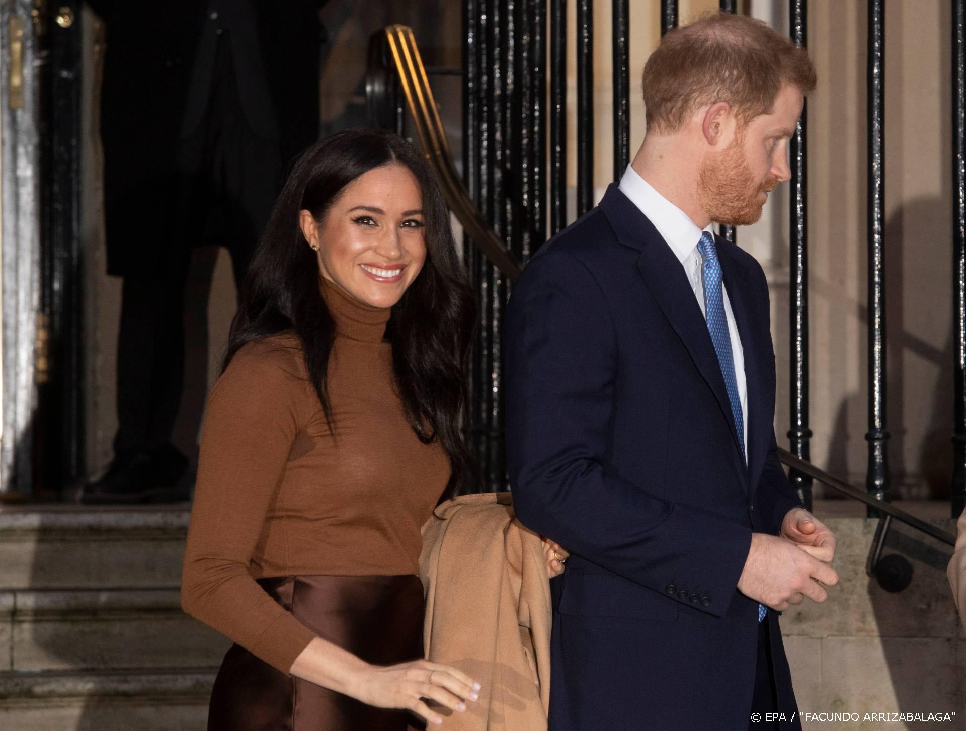 'Meghan en Harry pitchen idee voor tv-programma'