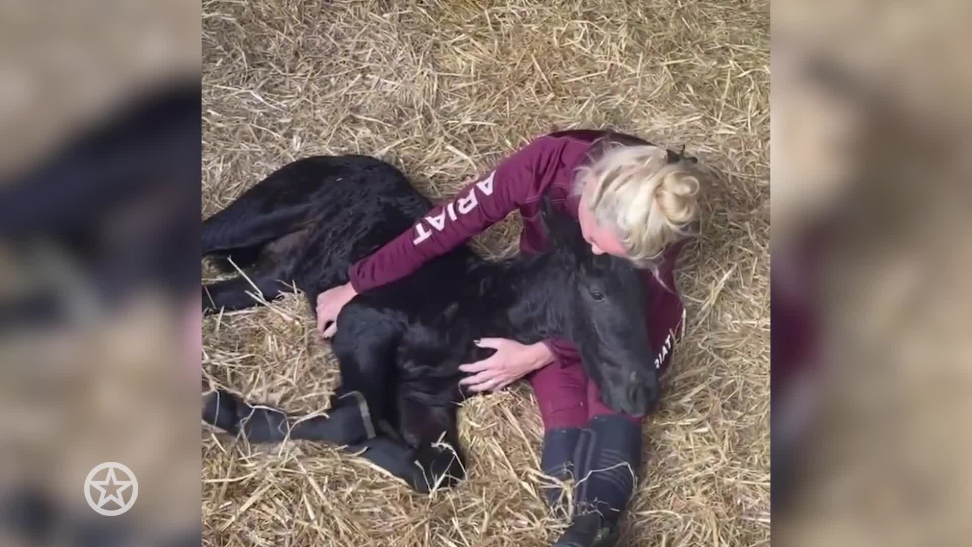 Paard Samantha Steenwijk overleden