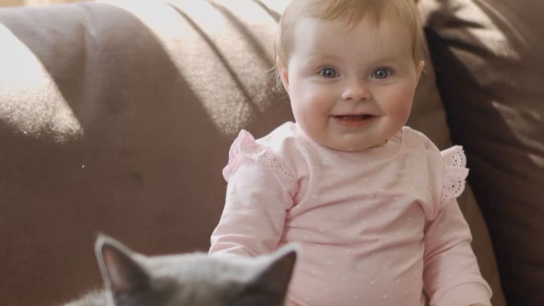 ZIEN: Vivé Meiland showt laatste mode aan laconieke katten