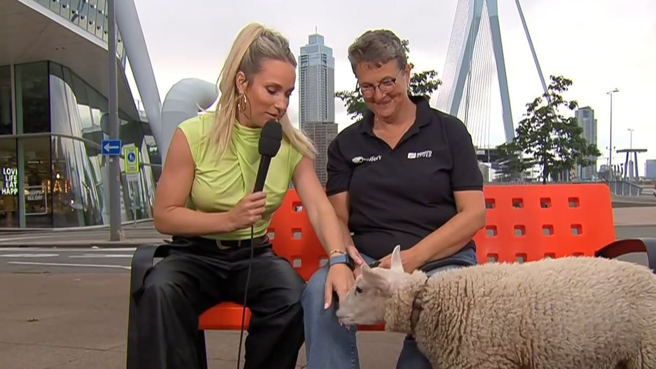 Hélène haakt in op schaap-uitspraak Gordon: 'Het is familiedag, dit is m'n broer Tom!'