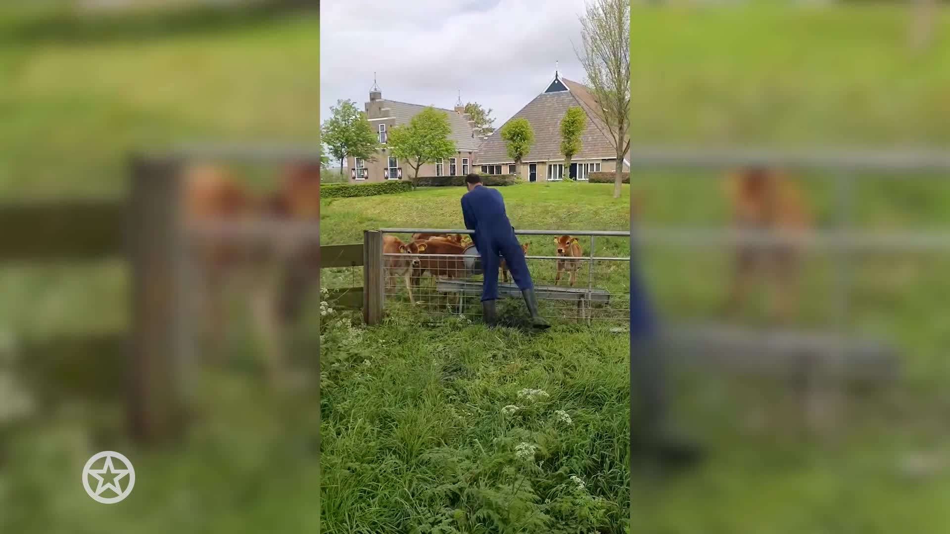 Boer Jouke aan het werk op de boerderij