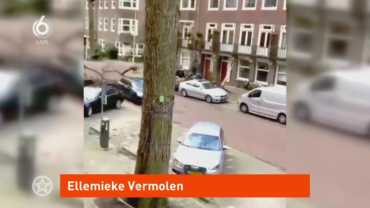 Ellemieke Vermolen over de omgevallen boom op haar auto