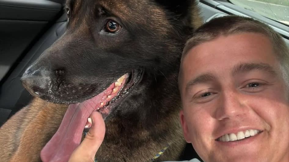 Vriendin Mart Hoogkamer geeft update over hond: 'Onze strijder' | Shownieuws
