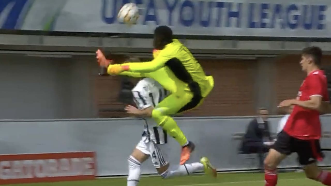 Gele kanarie gespot bij Youth League-wedstrijd tussen Juventus en Benfica 