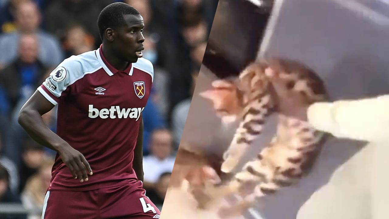 'Politie doet geen onderzoek naar West Ham-verdediger Zouma die zijn kat mishandelt'