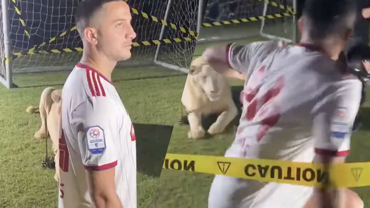 Kostas Manolas schrikt van leeuw tijdens fotoshoot voor nieuwe club Sharjah FC