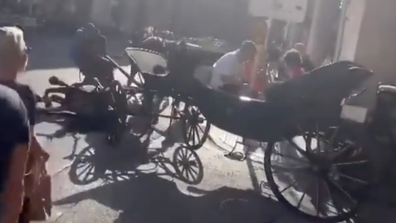 Absurde beelden: koetspaard zakt door hoeven, toeristen blijven gewoon zitten