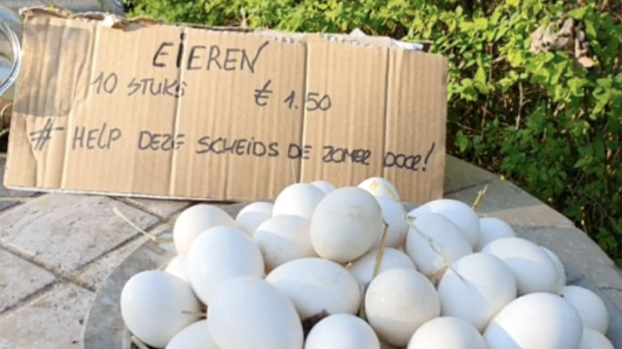Bas Nijhuis verkoopt eieren om overeind te blijven: 'Help deze scheids de zomer door'