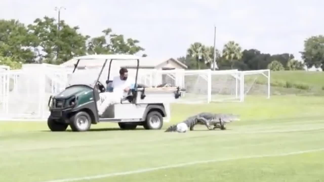 BIZAR: Toronto FC-spelers tijdens training opgeschrikt door krokodil