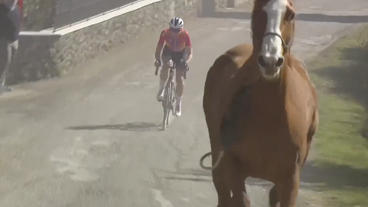 Bizarre beelden: Demi Vollering in de remmen voor losgeslagen paard