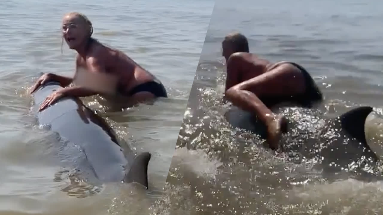 Bizar: topless dame gaat op gestrande dolfijn liggen